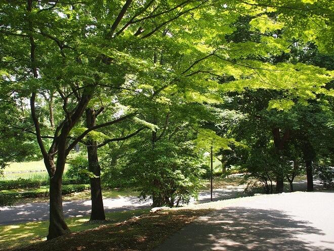 東京デート_昭和記念公園2