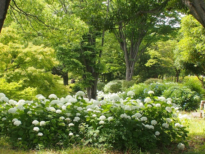 東京デート_昭和記念公園