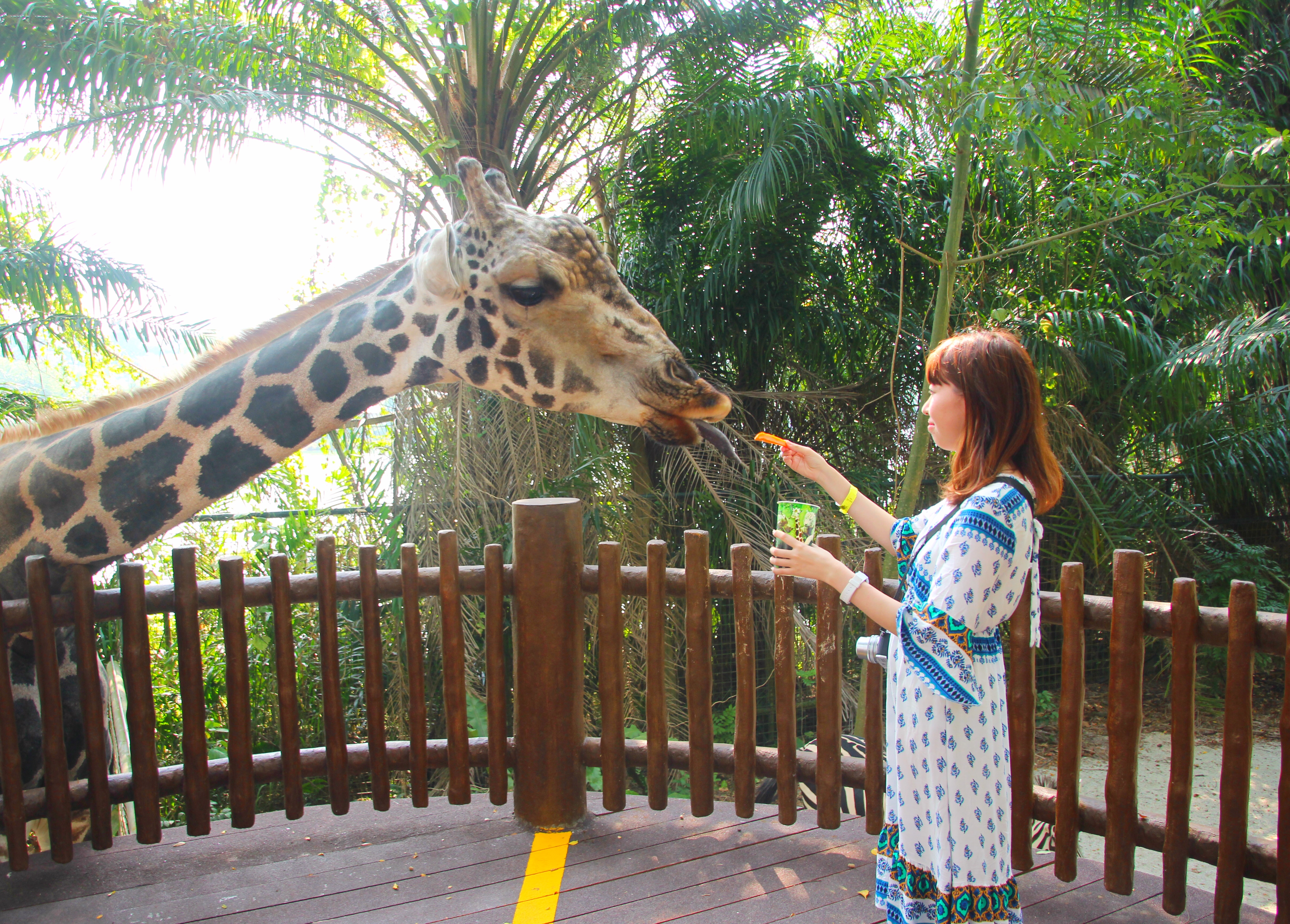 大興奮だったシンガポール動物園！迫力満点のショーや行き方、まわり方