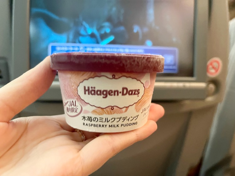 ホーチミン旅行での機内食